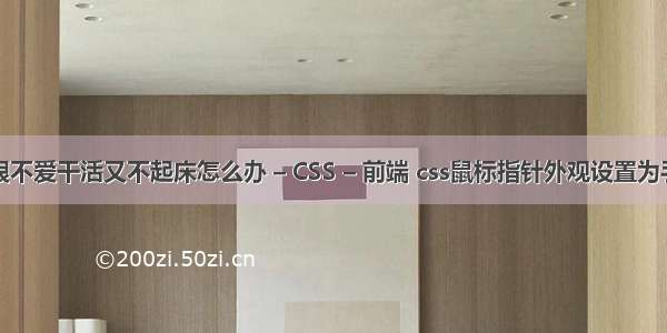 也很不爱干活又不起床怎么办 – CSS – 前端 css鼠标指针外观设置为手型