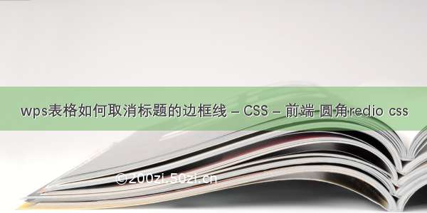 wps表格如何取消标题的边框线 – CSS – 前端 圆角redio css