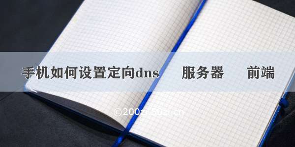 手机如何设置定向dns – 服务器 – 前端