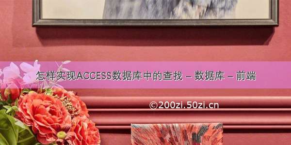 怎样实现ACCESS数据库中的查找 – 数据库 – 前端