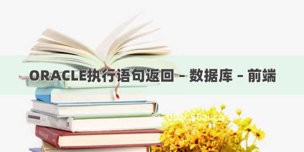 ORACLE执行语句返回 – 数据库 – 前端