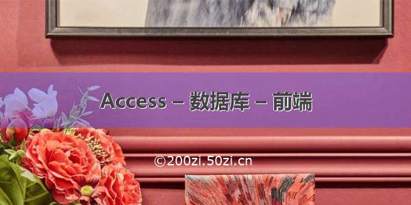 Access – 数据库 – 前端