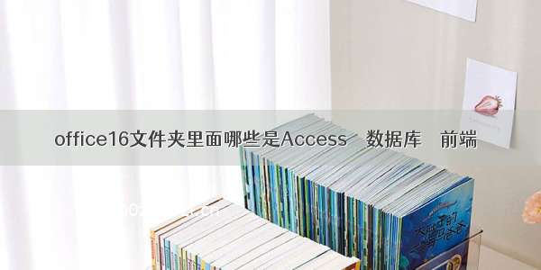 office16文件夹里面哪些是Access – 数据库 – 前端