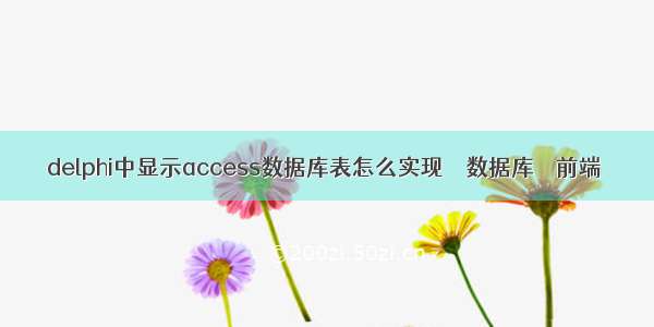 delphi中显示access数据库表怎么实现 – 数据库 – 前端