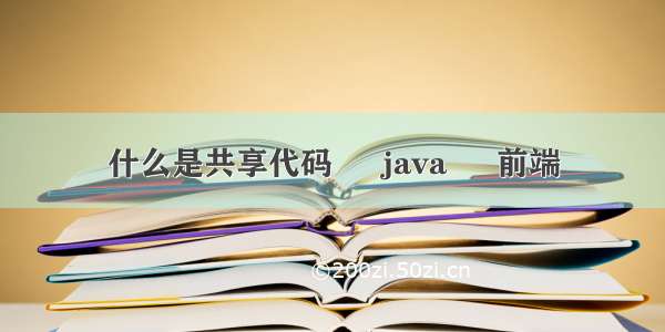 什么是共享代码 – java – 前端