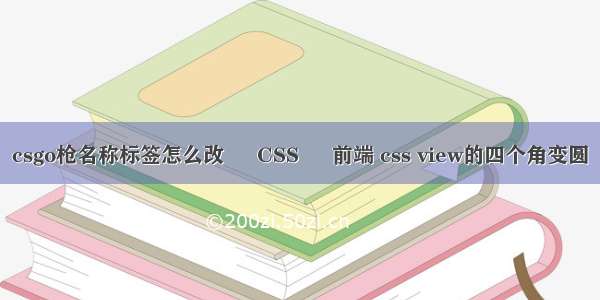 csgo枪名称标签怎么改 – CSS – 前端 css view的四个角变圆