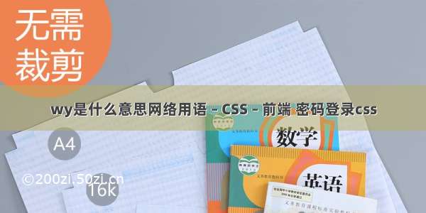 wy是什么意思网络用语 – CSS – 前端 密码登录css