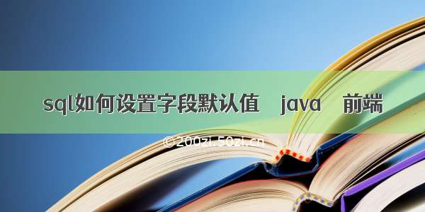 sql如何设置字段默认值 – java – 前端