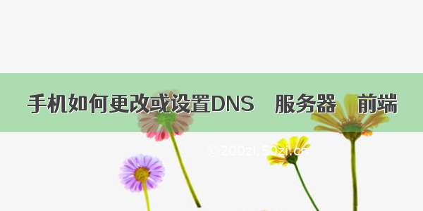 手机如何更改或设置DNS – 服务器 – 前端