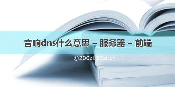 音响dns什么意思 – 服务器 – 前端