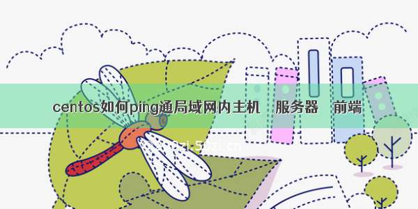 centos如何ping通局域网内主机 – 服务器 – 前端