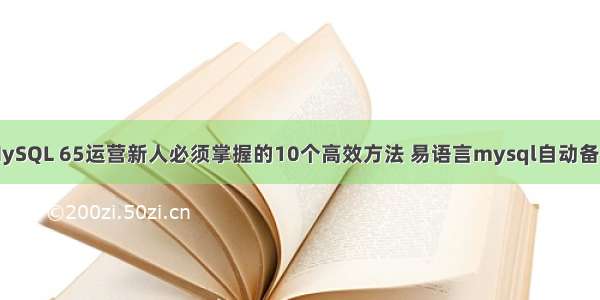 MySQL 65运营新人必须掌握的10个高效方法 易语言mysql自动备份