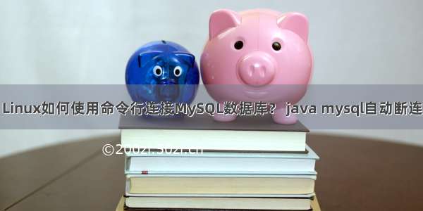 Linux如何使用命令行连接MySQL数据库？ java mysql自动断连