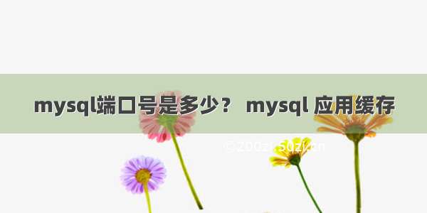 mysql端口号是多少？ mysql 应用缓存