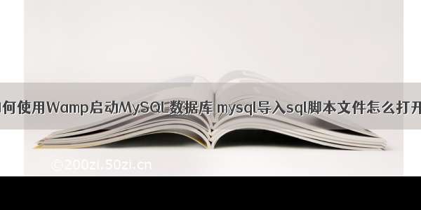 如何使用Wamp启动MySQL数据库 mysql导入sql脚本文件怎么打开