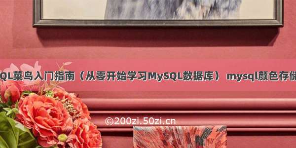 MySQL菜鸟入门指南（从零开始学习MySQL数据库） mysql颜色存储类型