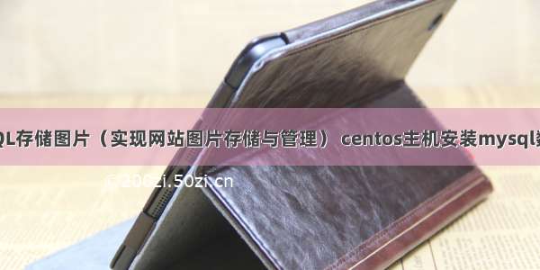 MySQL存储图片（实现网站图片存储与管理） centos主机安装mysql数据库