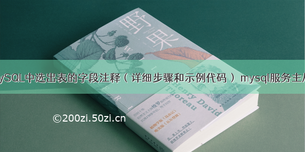 如何在MySQL中选出表的字段注释（详细步骤和示例代码） mysql服务主从 从改变