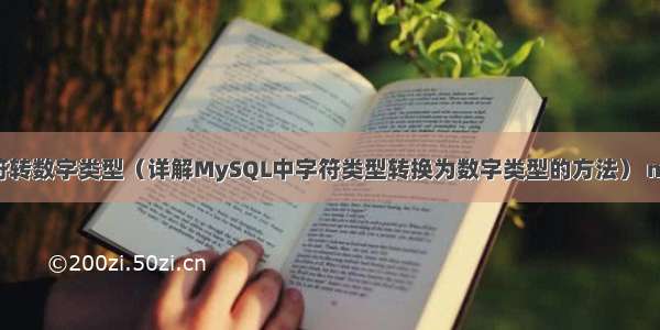 MySQL SQL字符转数字类型（详解MySQL中字符类型转换为数字类型的方法） mysqlif else语句