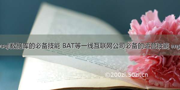 比对升级mysql数据库的必备技能 BAT等一线互联网公司必备的运营技能 mysql字段用逗