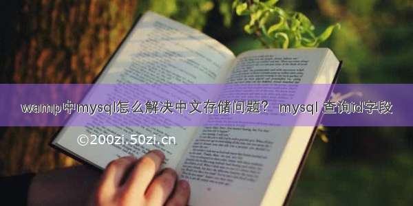 wamp中mysql怎么解决中文存储问题？ mysql 查询id字段