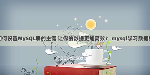 如何设置MySQL表的主键 让你的数据更加高效？ mysql学习数据集