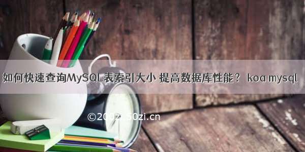 如何快速查询MySQL表索引大小 提高数据库性能？ koa mysql