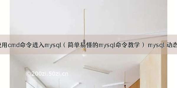 如何使用cmd命令进入mysql（简单易懂的mysql命令教学） mysql 动态列名