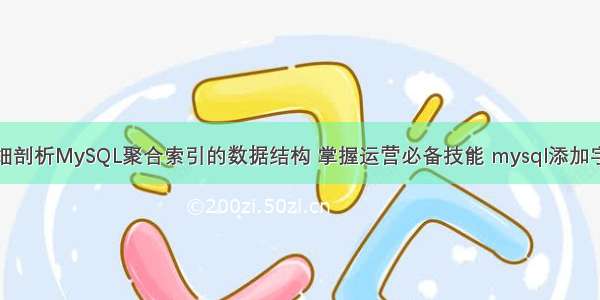 详细剖析MySQL聚合索引的数据结构 掌握运营必备技能 mysql添加字段