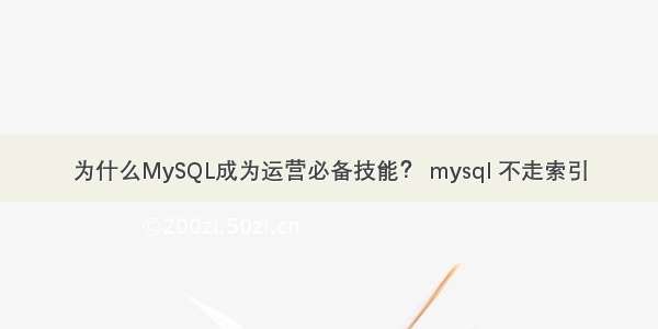 为什么MySQL成为运营必备技能？ mysql 不走索引