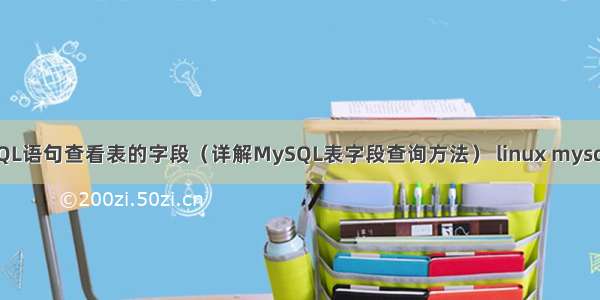 MySQL语句查看表的字段（详解MySQL表字段查询方法） linux mysql启动