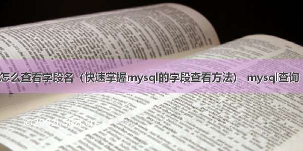 mysql怎么查看字段名（快速掌握mysql的字段查看方法） mysql查询 并 更新