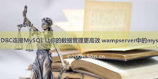 ODBC连接MySQL 让你的数据管理更高效 wampserver中的mysql