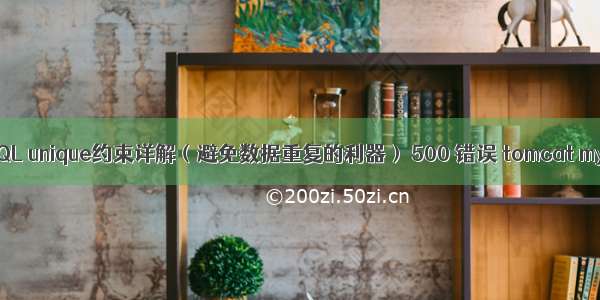 MySQL unique约束详解（避免数据重复的利器） 500 错误 tomcat mysql