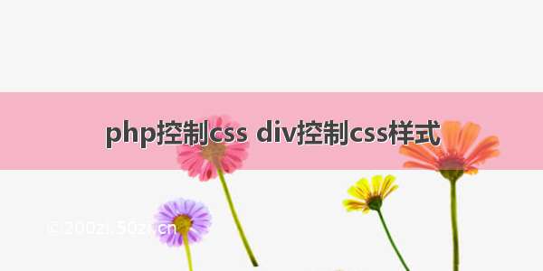 php控制css div控制css样式