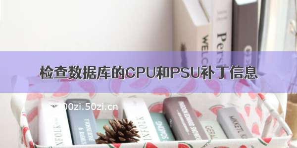 检查数据库的CPU和PSU补丁信息