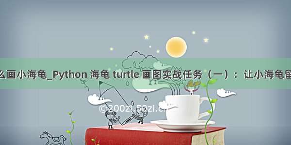 python怎么画小海龟_Python 海龟 turtle 画图实战任务（一）：让小海龟留下Z字形的