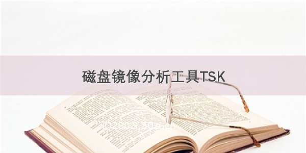 磁盘镜像分析工具TSK