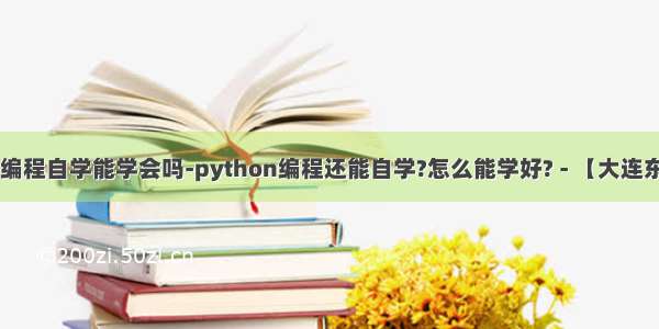 python编程自学能学会吗-python编程还能自学?怎么能学好? - 【大连东软睿道】