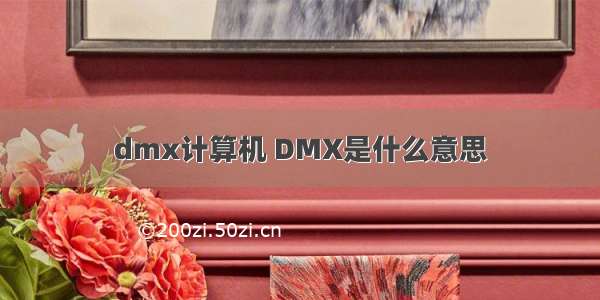 dmx计算机 DMX是什么意思