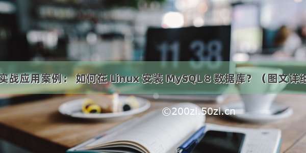 linux实战应用案例： 如何在 Linux 安装 MySQL 8 数据库？（图文详细教程）