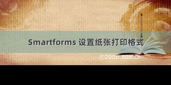 Smartforms 设置纸张打印格式