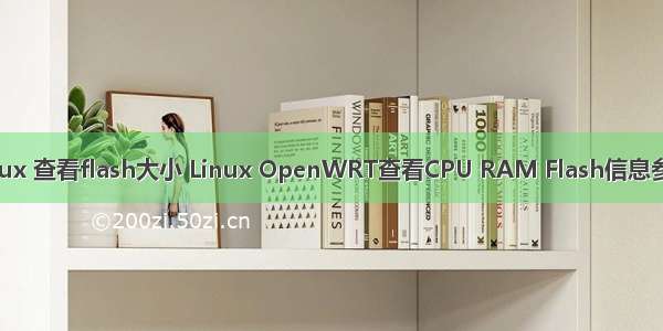 linux 查看flash大小 Linux OpenWRT查看CPU RAM Flash信息参数