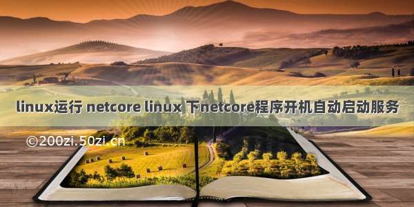 linux运行 netcore linux 下netcore程序开机自动启动服务