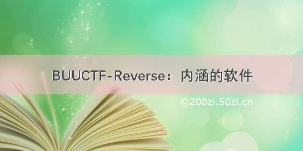 BUUCTF-Reverse：内涵的软件