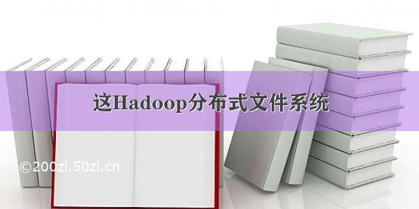 这Hadoop分布式文件系统