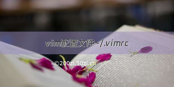 vim配置文件~/.vimrc