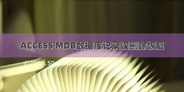 ACCESS MDB数据库记录误删除恢复