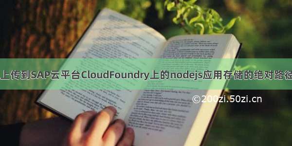 上传到SAP云平台CloudFoundry上的nodejs应用存储的绝对路径