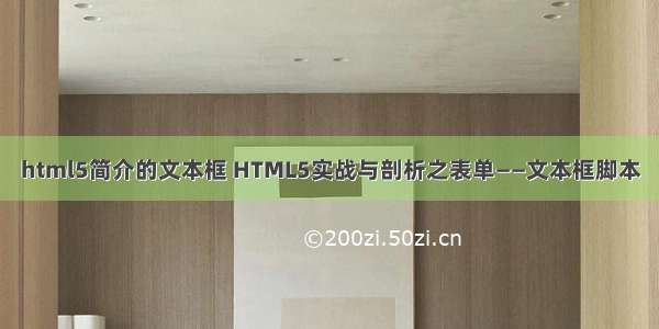 html5简介的文本框 HTML5实战与剖析之表单——文本框脚本